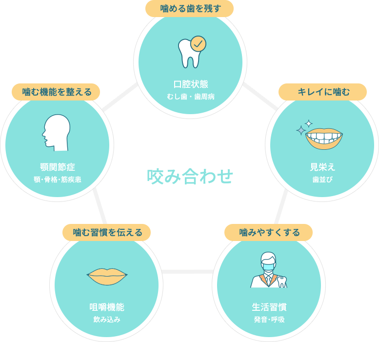 「咬合」から診る幅広い口腔管理を。患者様の口腔内を守る総合アプローチ